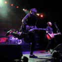 RISE AGAINST